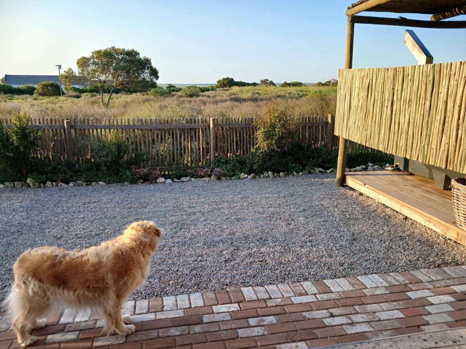 Camelot Cottages Langebaan Dış mekan fotoğraf