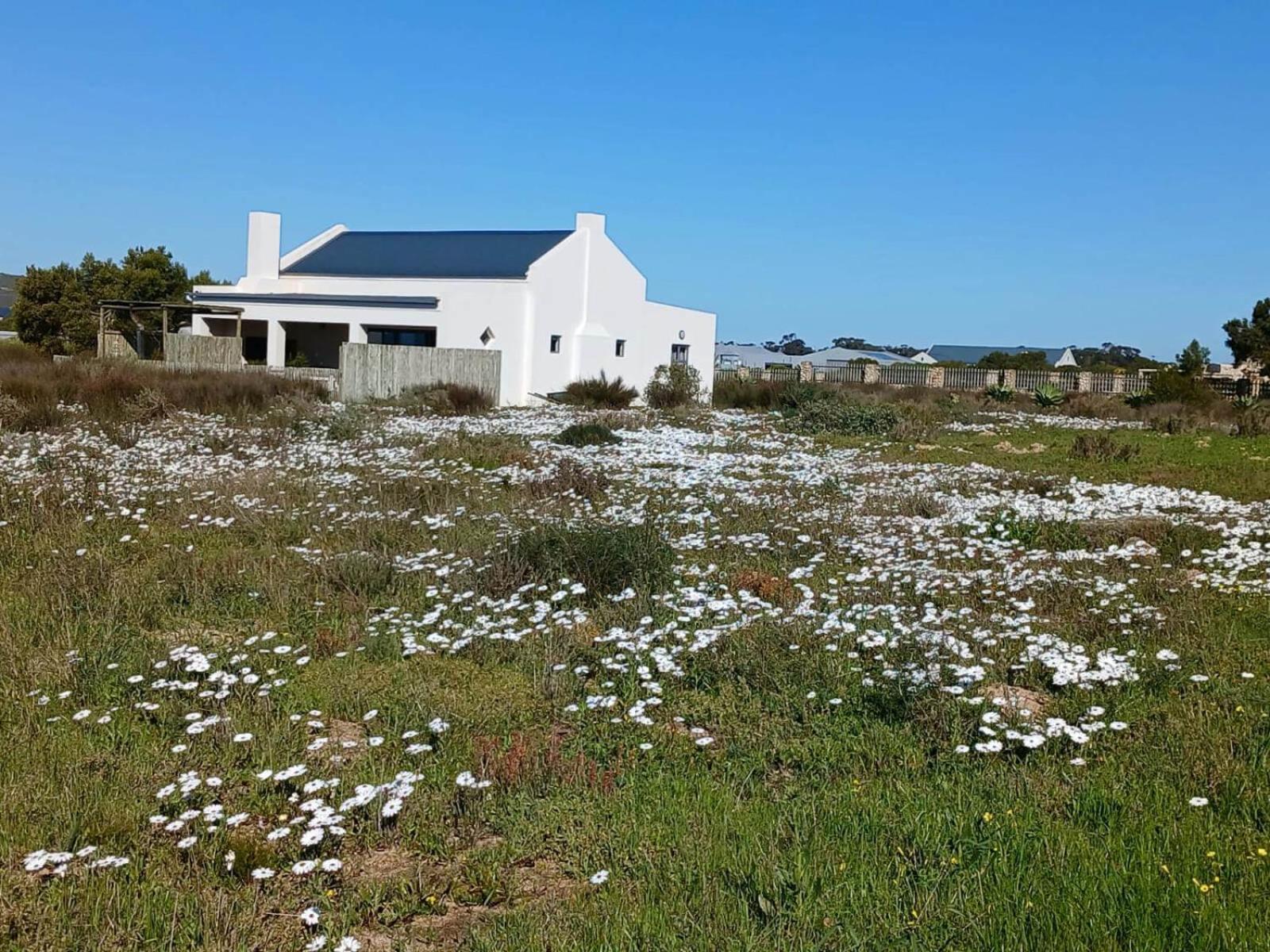 Camelot Cottages Langebaan Dış mekan fotoğraf