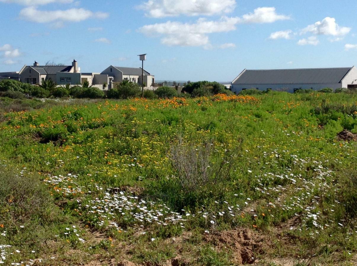 Camelot Cottages Langebaan Dış mekan fotoğraf