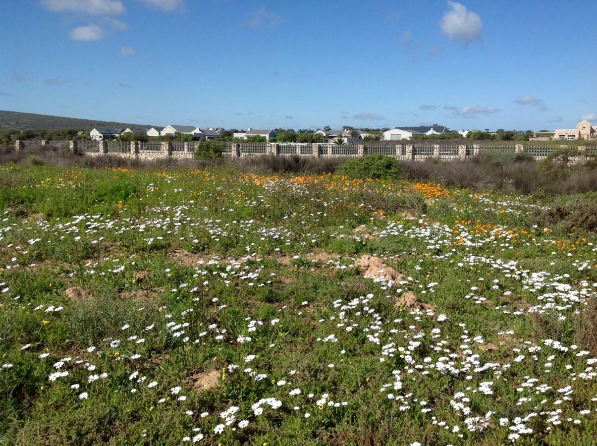 Camelot Cottages Langebaan Dış mekan fotoğraf