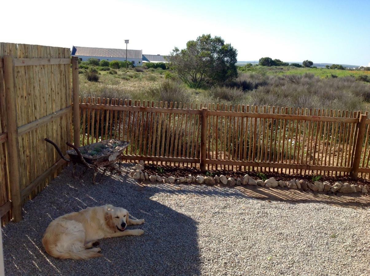 Camelot Cottages Langebaan Dış mekan fotoğraf